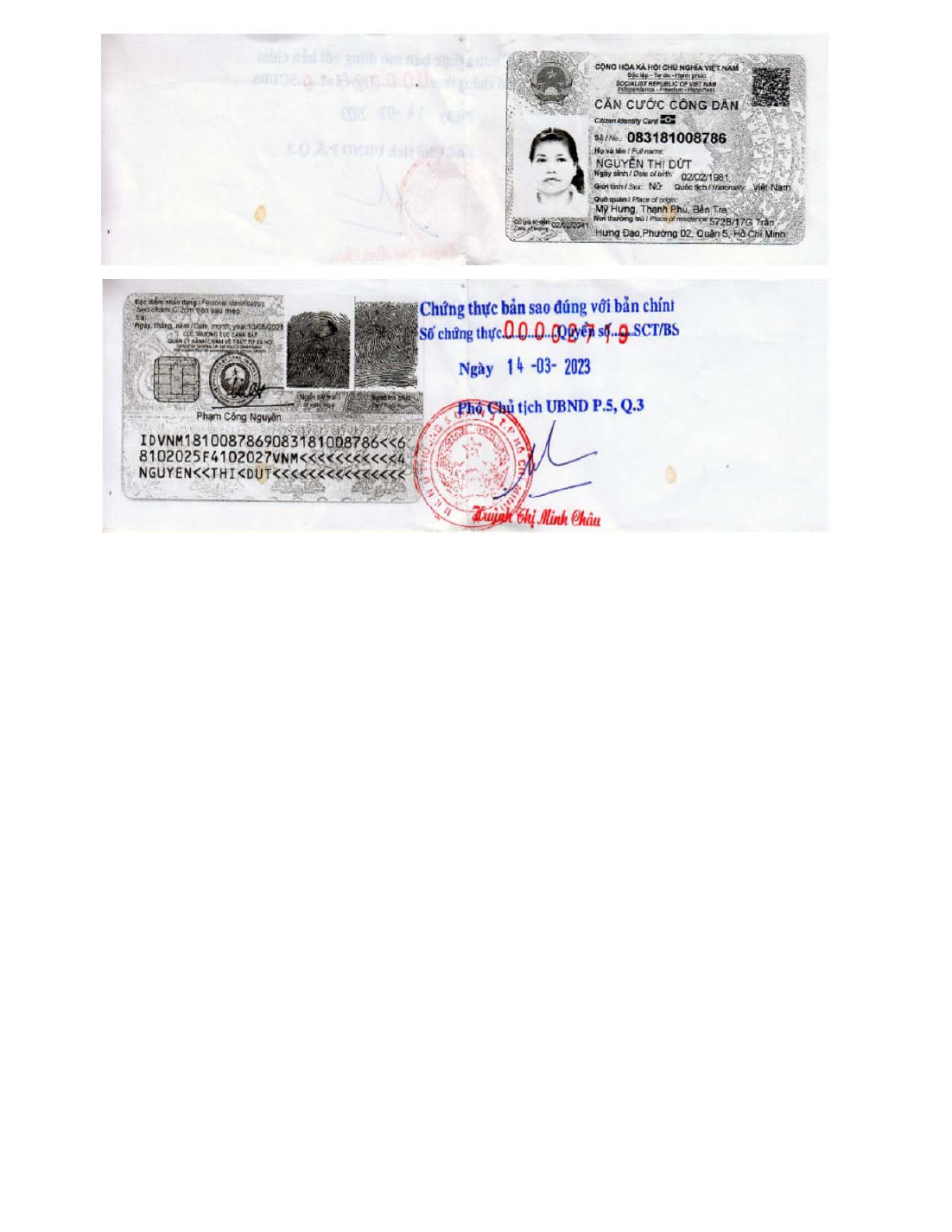 background image