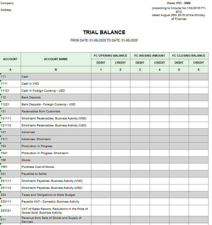 Mẫu bảng cân đối tài khoản theo TT133 ( TIẾNG ANH - Ngoại tệ )