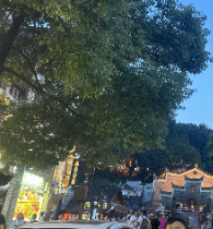 Nguyễn Thị Hồng Thúy