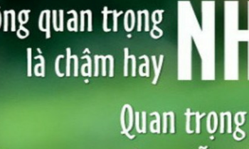  Nguyễn thị thu thủy