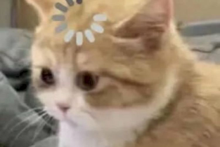 Nguyễn Thùy Dương