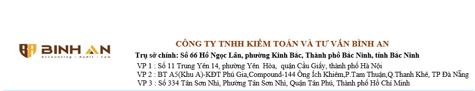 CÔNG TY TNHH KIỂM TOÁN VÀ TƯ VẤN BÌNH AN