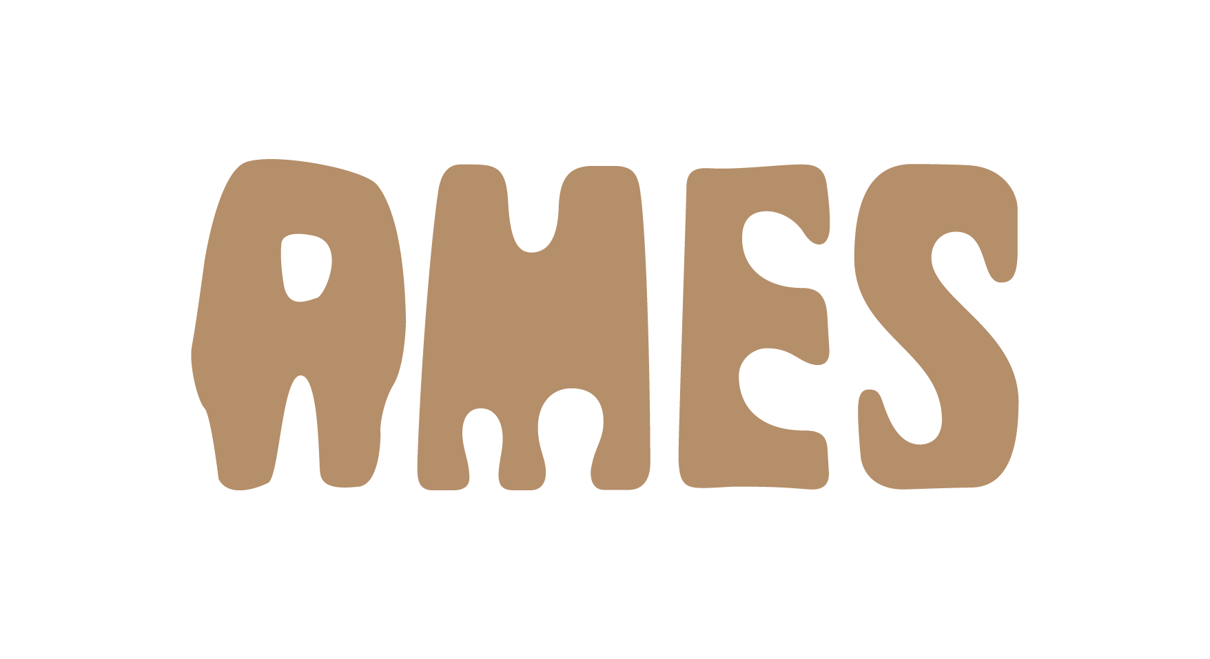 CÔNG TY TNHH THƯƠNG MẠI VÀ DỊCH VỤ AMES VIỆT NAM