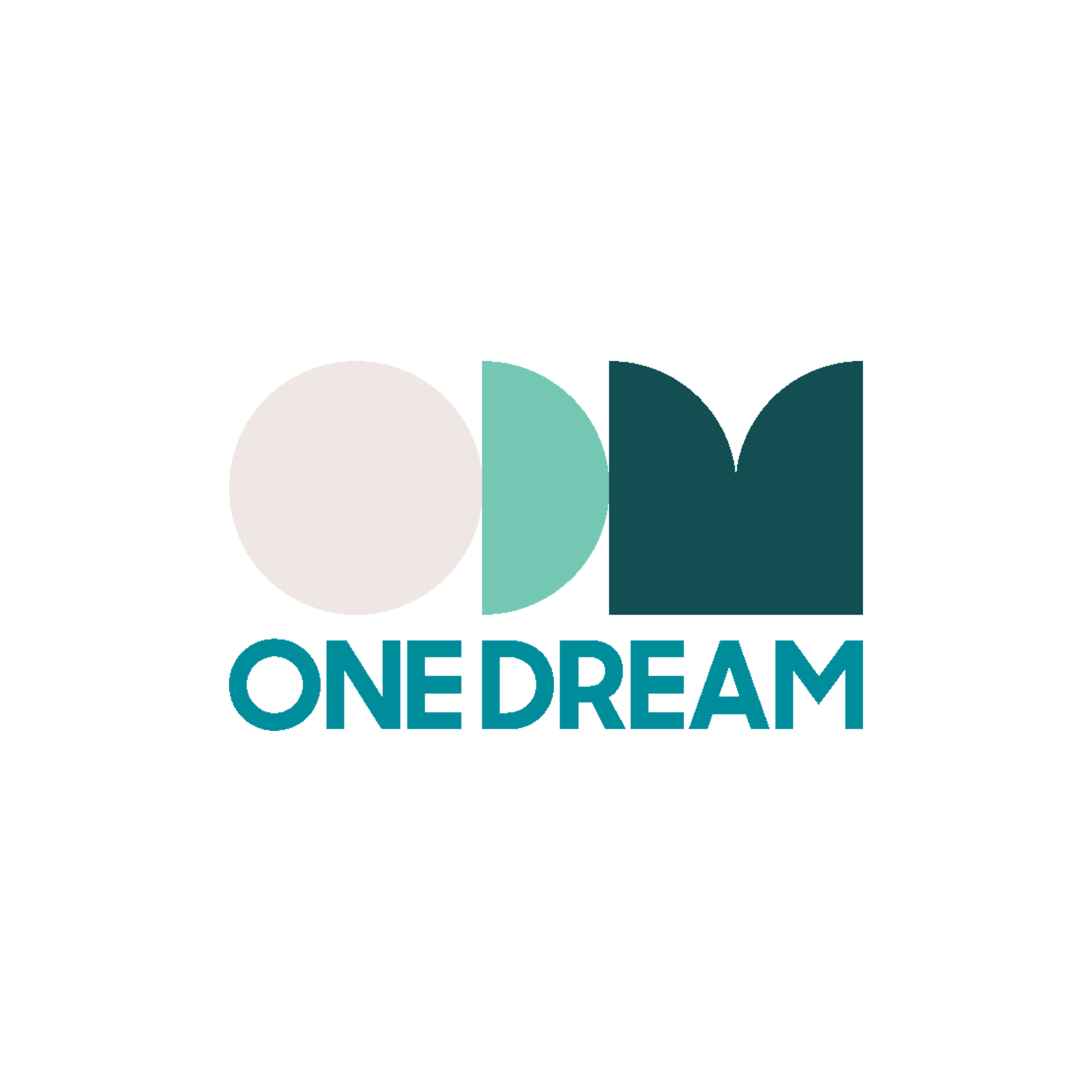 Công ty TNHH Quốc Tế One Dream Việt Nam