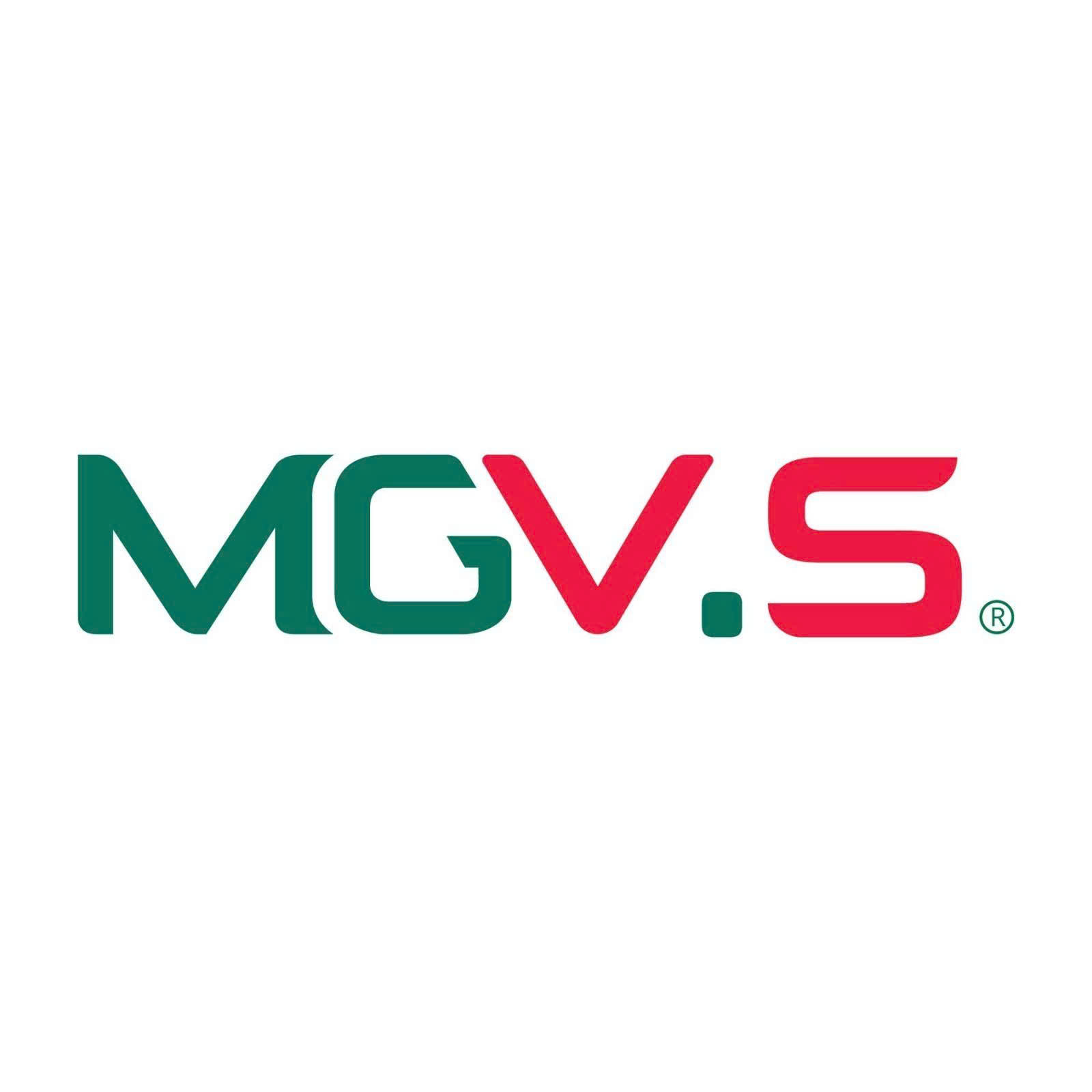 Công ty Cổ phần Bất động sản MGVS