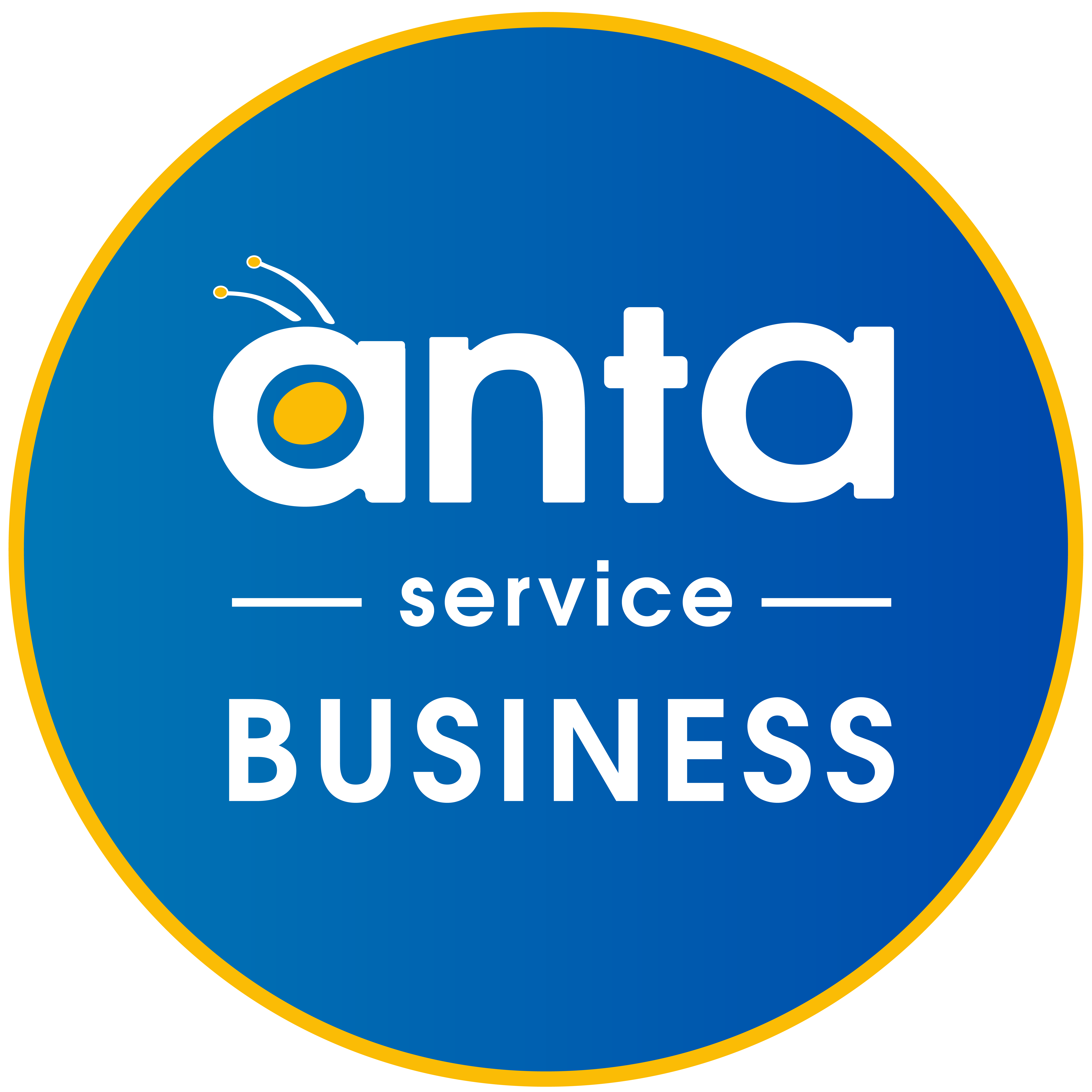 CÔNG TY TNHH DỊCH VỤ DOANH NGHIỆP ANTA