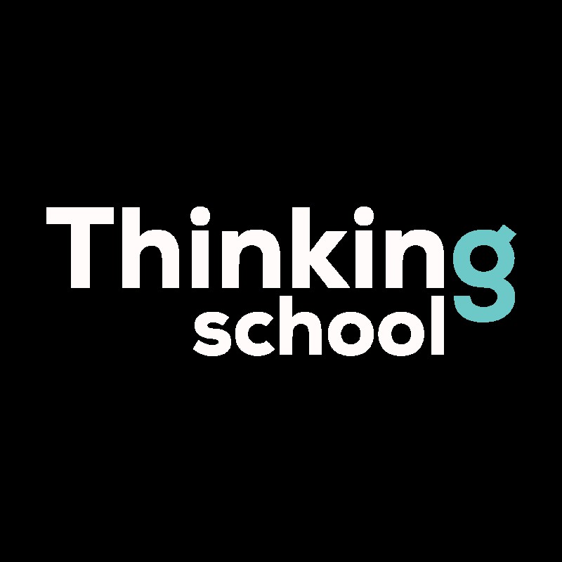 Công ty TNHH THinking School