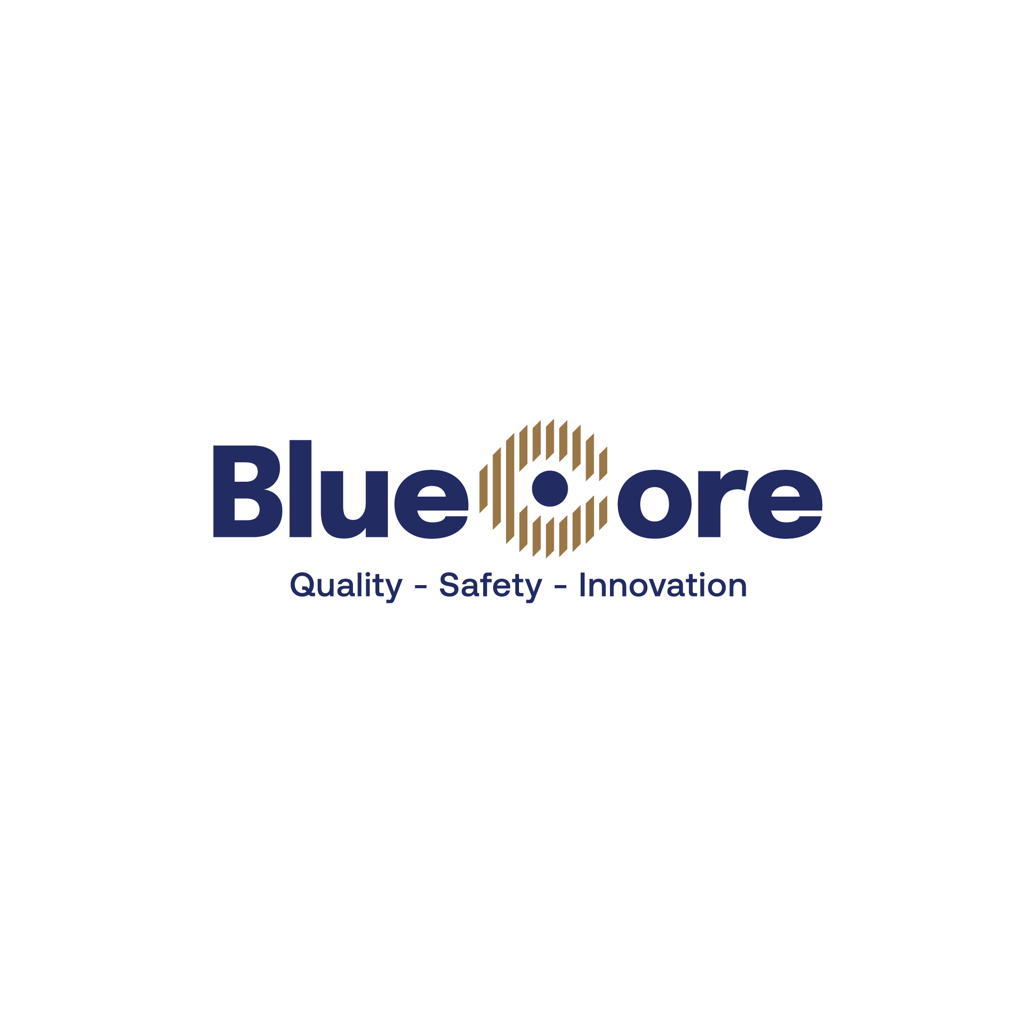 CÔNG TY CỔ PHẦN BLUE CORE VIỆT NAM