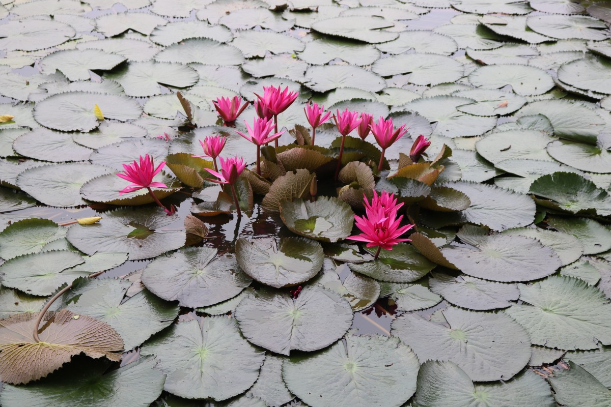 Công Ty Cổ Phần Môi Trường Và Xây Dựng Việt Nam - Vica