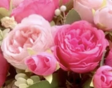 Công ty TNHH Thương Mại Lộc nông