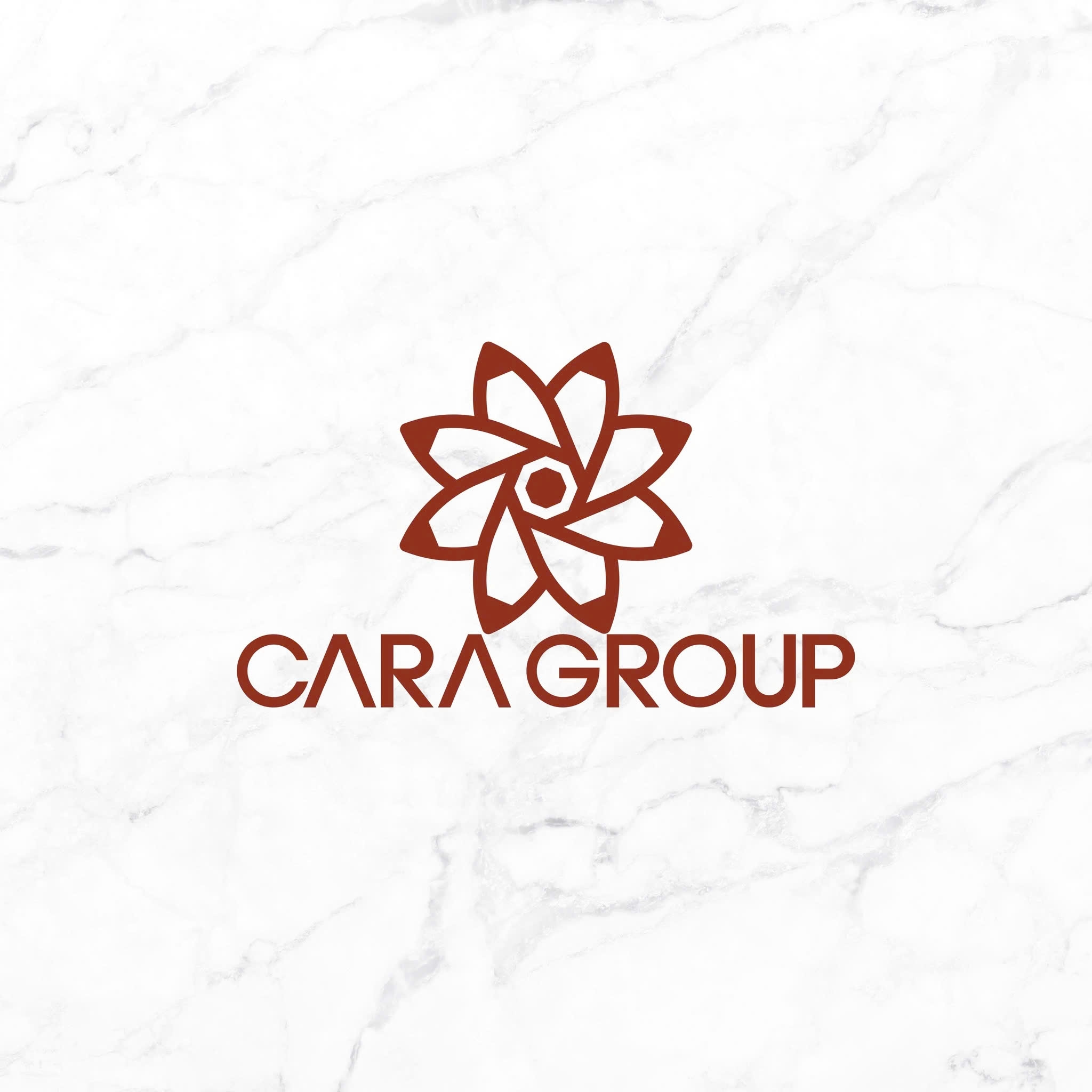 Công ty Cổ phần Cara Group