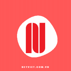 CÔNG TY TNHH NÉT VIỆT