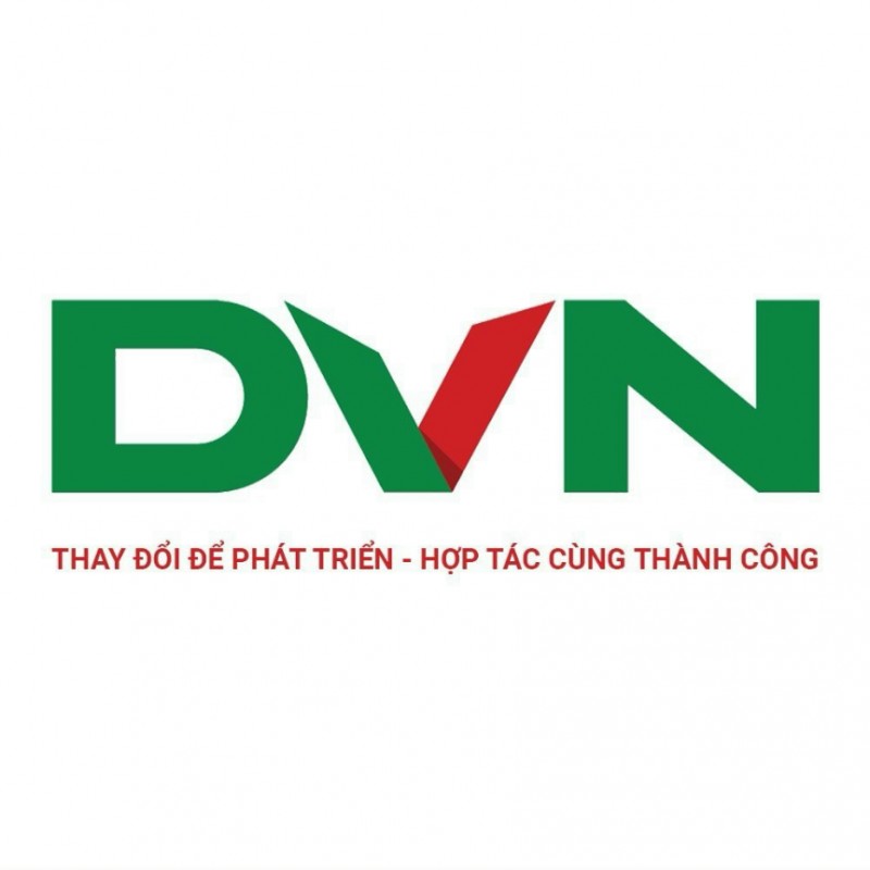 Công ty Cổ phần Tập đoàn DVN Việt Nam