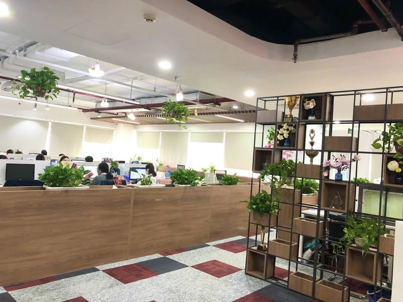 Công ty TNHH Tuệ Linh