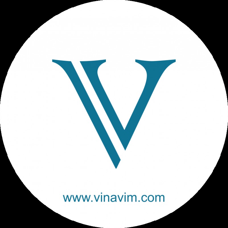 CÔNG TY TNHH VI NA VIM