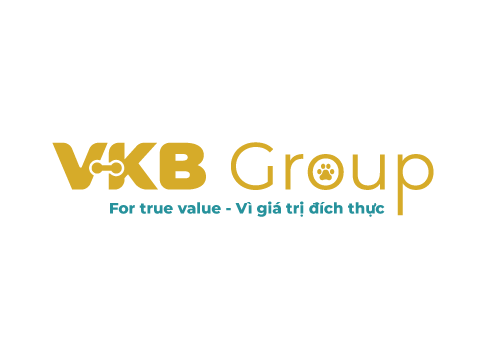 CÔNG TY TNHH VKB GROUP