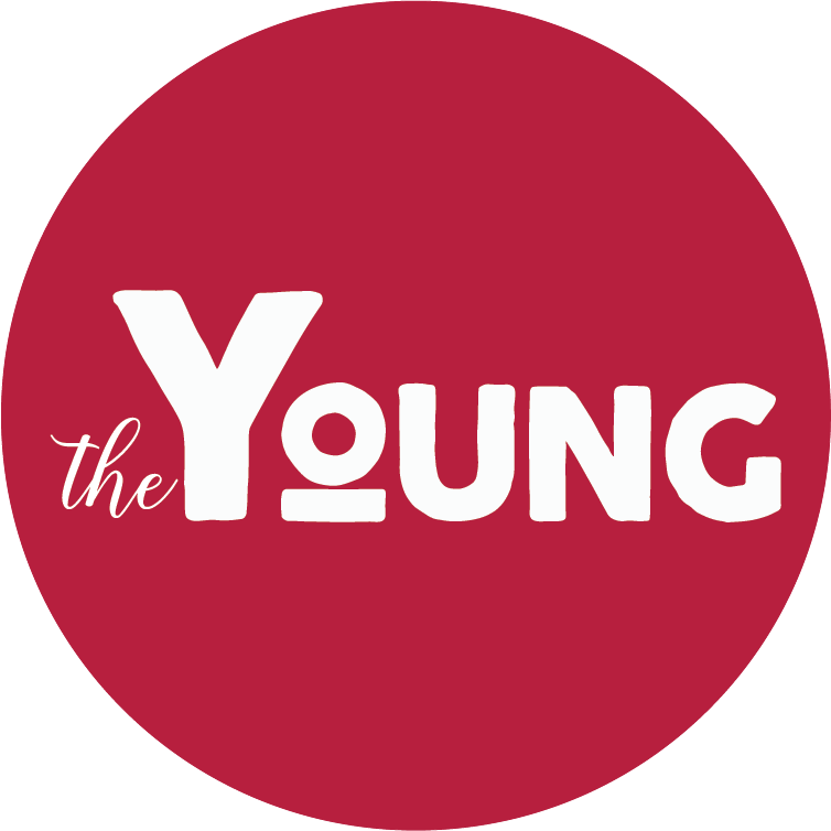 CÔNG TY TNHH THEYOUNG VIỆT NAM