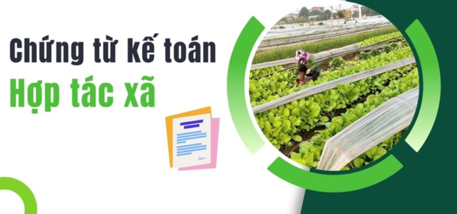 Chứng từ kế toán là gì? Quy định về chứng từ kế toán Hợp tác xã từ 7/10/2024