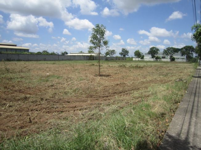 Góp vốn bằng quyền sử dụng đất: Điều kiện và thủ tục thế nào?