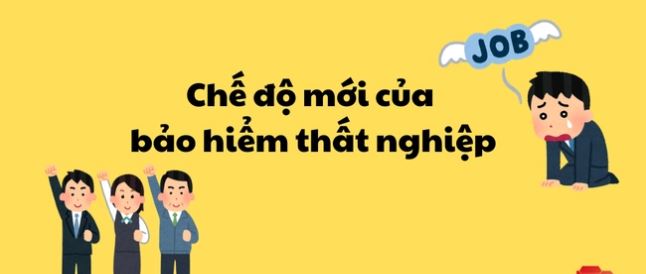 Các chế độ của bảo hiểm thất nghiệp từ 01/01/2026 gồm những gì?