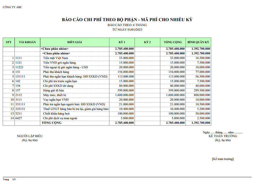 Mẫu báo cáo chi phí theo bộ phận và khoản mục phí ( Theo nữa niên độ )