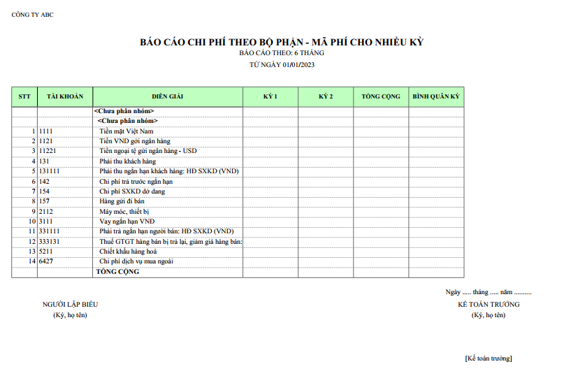 Mẫu báo cáo chi phí theo bộ phận và khoản mục phí ( Theo nữa niên độ ) NGOẠI TỆ