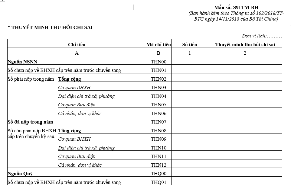 Mẫu số S91TM-BH: Thuyết minh thu hồi chi sai