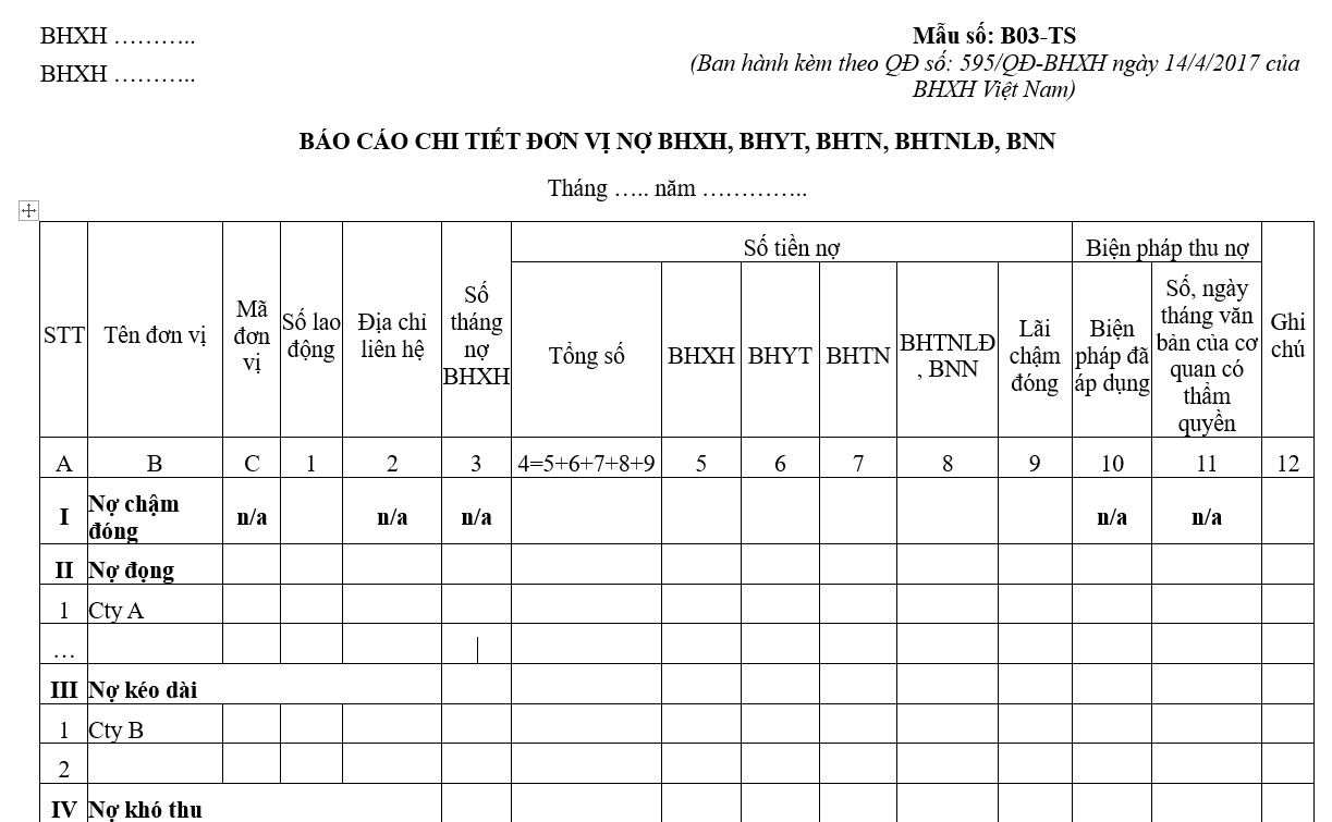 Mẫu số B03-TS: Báo cáo chi tiết đơn vị nợ BHXH, BHYT, BHTN, BHTNLĐ, BNN