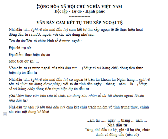 Mẫu văn bản cam kết tự thu xếp ngoại tệ