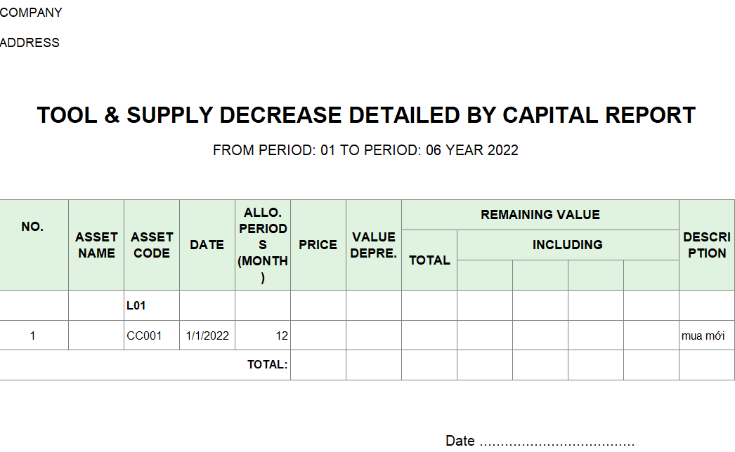 Mẫu báo cáo chi tiết giảm CCDC theo nguồn vốn ( TIẾNG ANH )