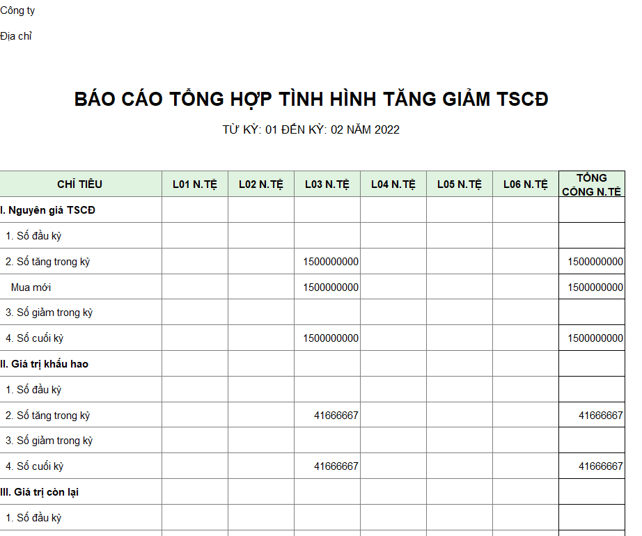 Báo cáo tổng hợp tăng giảm TSCĐ ( NGOẠI TỆ )