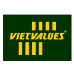 Công ty TNHH Kiểm toán và Tư vấn Chuẩn Việt - VIETVALUES