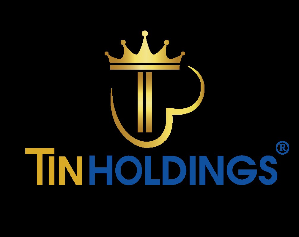 Công ty Cổ phần TIN Holdings