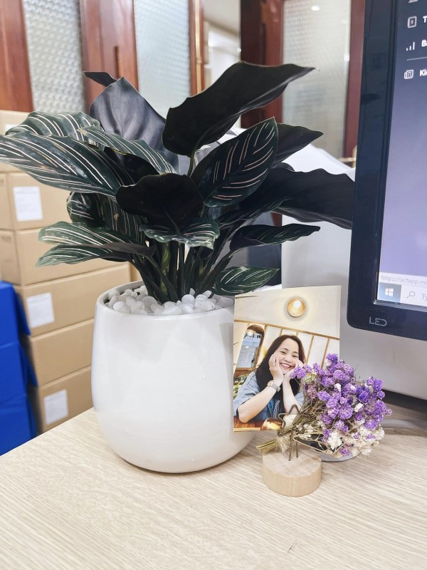 góc làm việc kế toán 11