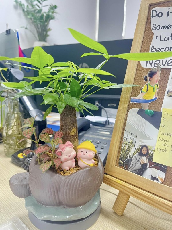 goc-lam-viec-ke-toan-5