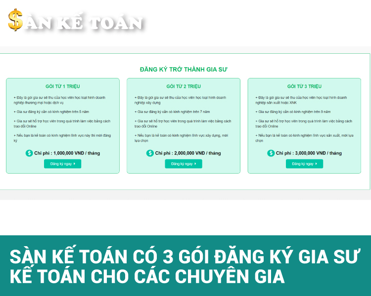 Các gói dịch vụ gia sư kế toán